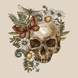 Box 2 Skulls